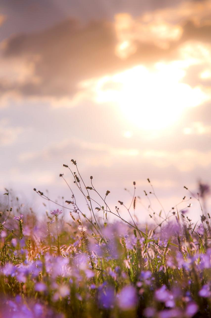 Cloud storage synchronization